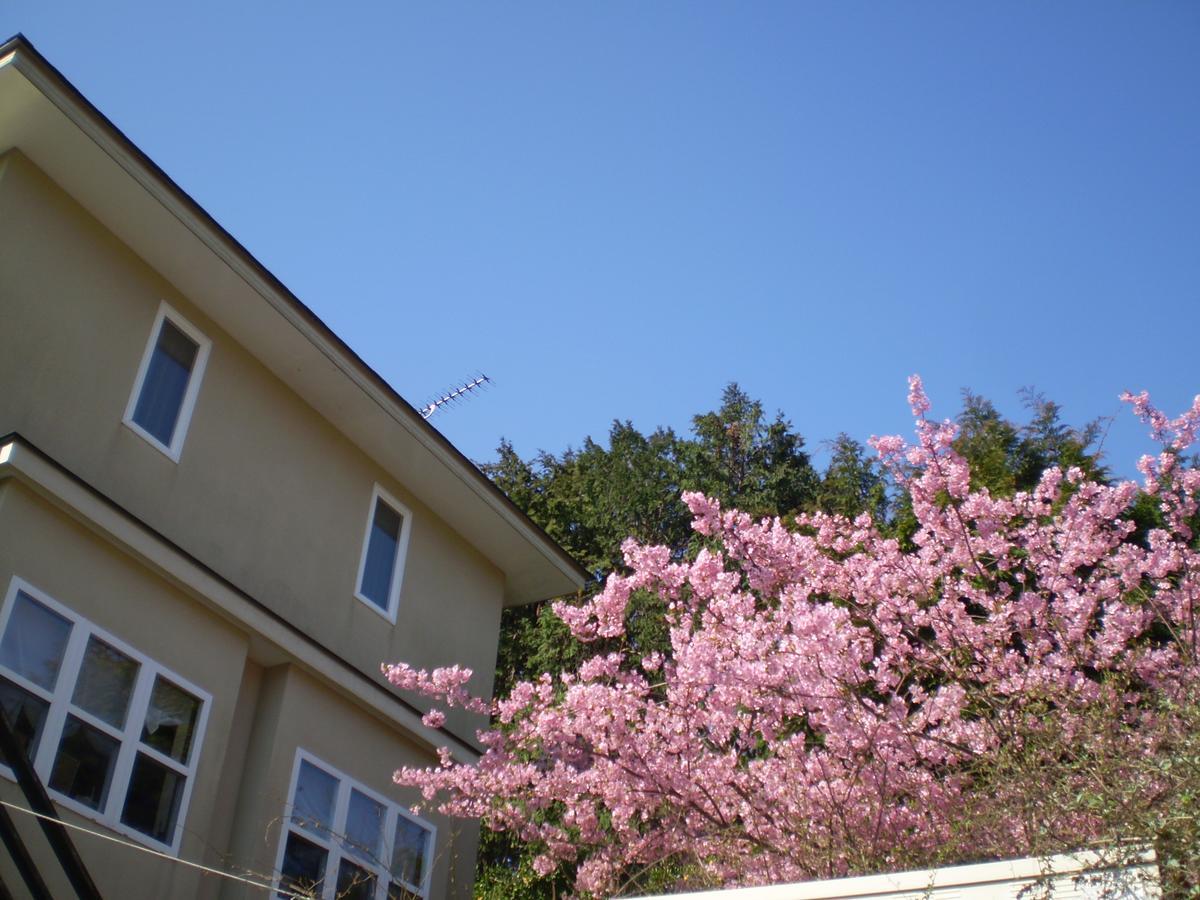 Chiisana Hotel Hanaikada 伊东 外观 照片