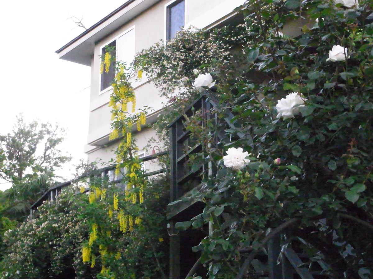 Chiisana Hotel Hanaikada 伊东 外观 照片